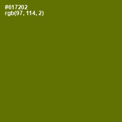#617202 - Olivetone Color Image