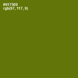 #617509 - Olivetone Color Image