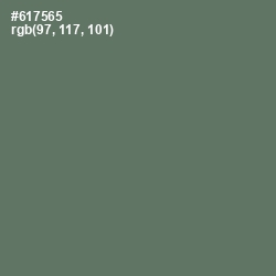 #617565 - Corduroy Color Image