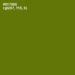 #617606 - Olivetone Color Image