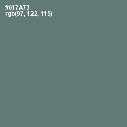 #617A73 - Nevada Color Image