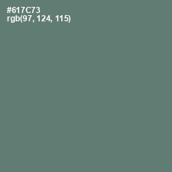 #617C73 - Nevada Color Image