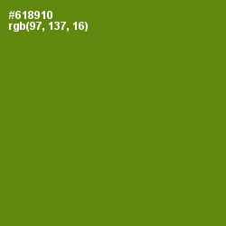 #618910 - Limeade Color Image