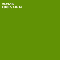 #619206 - Limeade Color Image