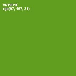 #619D1F - Limeade Color Image