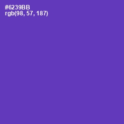 #6239BB - Royal Purple Color Image