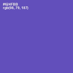 #624FBB - Blue Violet Color Image