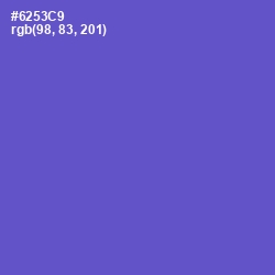 #6253C9 - Fuchsia Blue Color Image