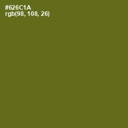 #626C1A - Olivetone Color Image