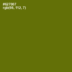 #627007 - Olivetone Color Image