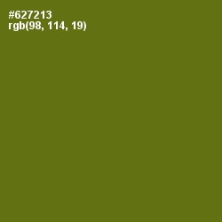 #627213 - Olivetone Color Image