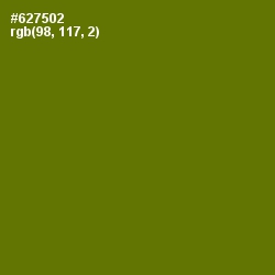 #627502 - Olivetone Color Image