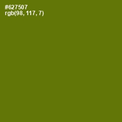 #627507 - Olivetone Color Image