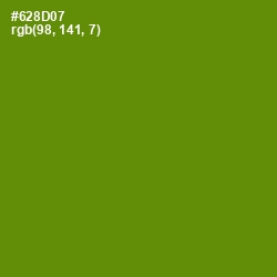 #628D07 - Limeade Color Image