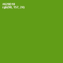 #629D18 - Limeade Color Image