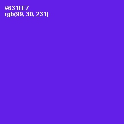 #631EE7 - Purple Heart Color Image