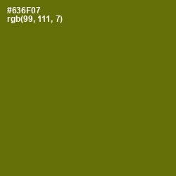 #636F07 - Olivetone Color Image