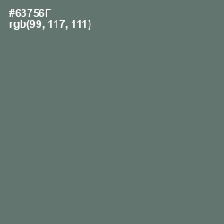 #63756F - Nevada Color Image