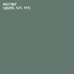 #63796F - Nevada Color Image