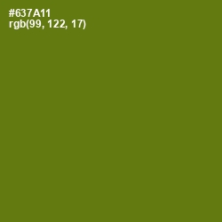 #637A11 - Olivetone Color Image