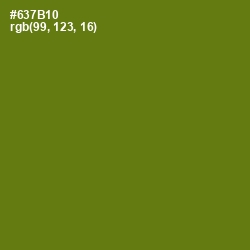 #637B10 - Olivetone Color Image