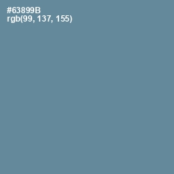 #63899B - Hoki Color Image