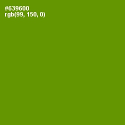 #639600 - Limeade Color Image