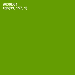 #639D01 - Limeade Color Image