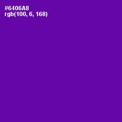 #6406A8 - Purple Color Image