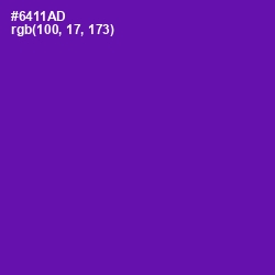 #6411AD - Purple Color Image