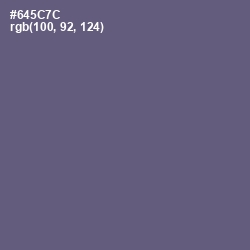 #645C7C - Smoky Color Image