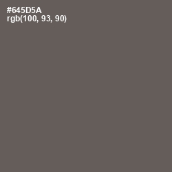 #645D5A - Zambezi Color Image