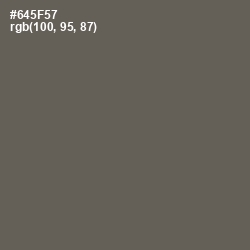 #645F57 - Pine Cone Color Image