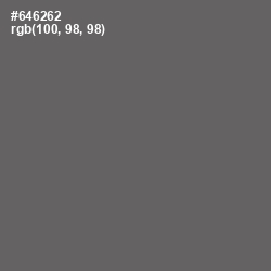 #646262 - Storm Dust Color Image