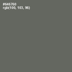 #646760 - Ironside Gray Color Image