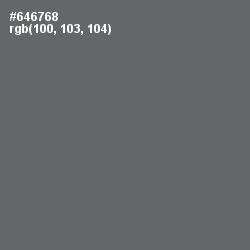 #646768 - Storm Dust Color Image