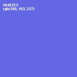 #6467E3 - Blue Marguerite Color Image