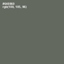 #646960 - Ironside Gray Color Image