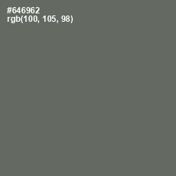 #646962 - Ironside Gray Color Image