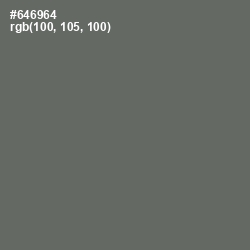 #646964 - Ironside Gray Color Image