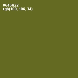 #646A22 - Fern Frond Color Image