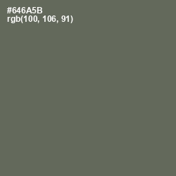 #646A5B - Siam Color Image