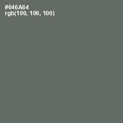 #646A64 - Ironside Gray Color Image
