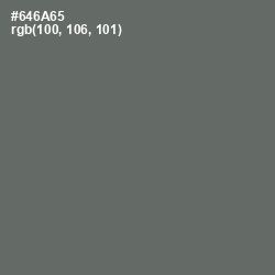 #646A65 - Ironside Gray Color Image