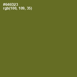 #646D23 - Fern Frond Color Image