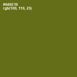 #646E19 - Olivetone Color Image