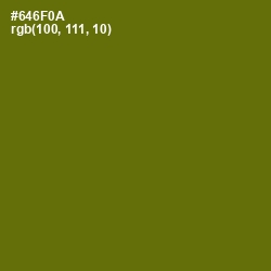 #646F0A - Olivetone Color Image