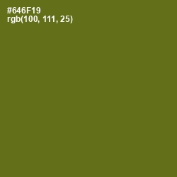 #646F19 - Olivetone Color Image