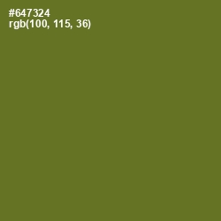 #647324 - Fern Frond Color Image