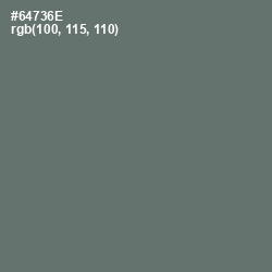 #64736E - Nevada Color Image